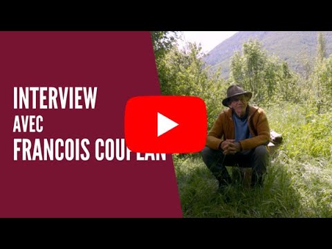 Interview de Francois Couplan, ethnobotaniste et spécialiste des plantes sauvages comestibles
