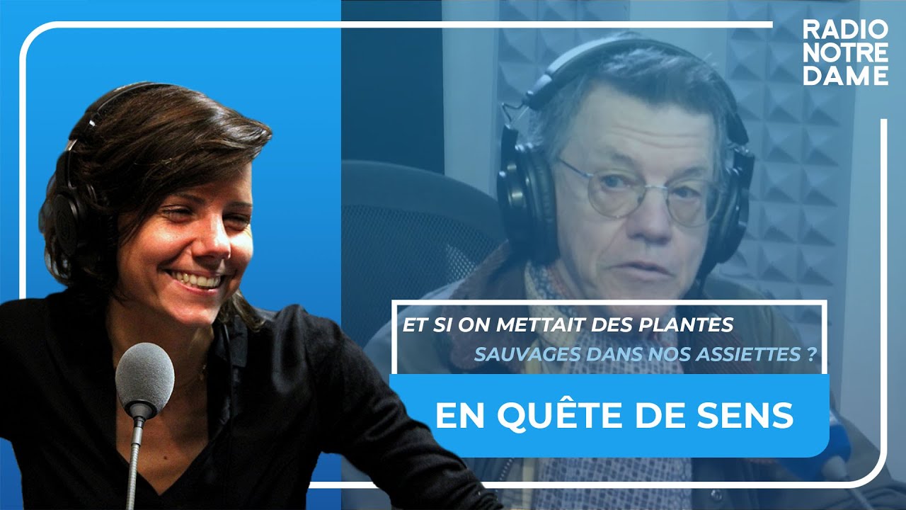 Et si on mettait des plantes sauvages dans nos assiettes ?