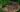 gratin_egopode_1_OK
