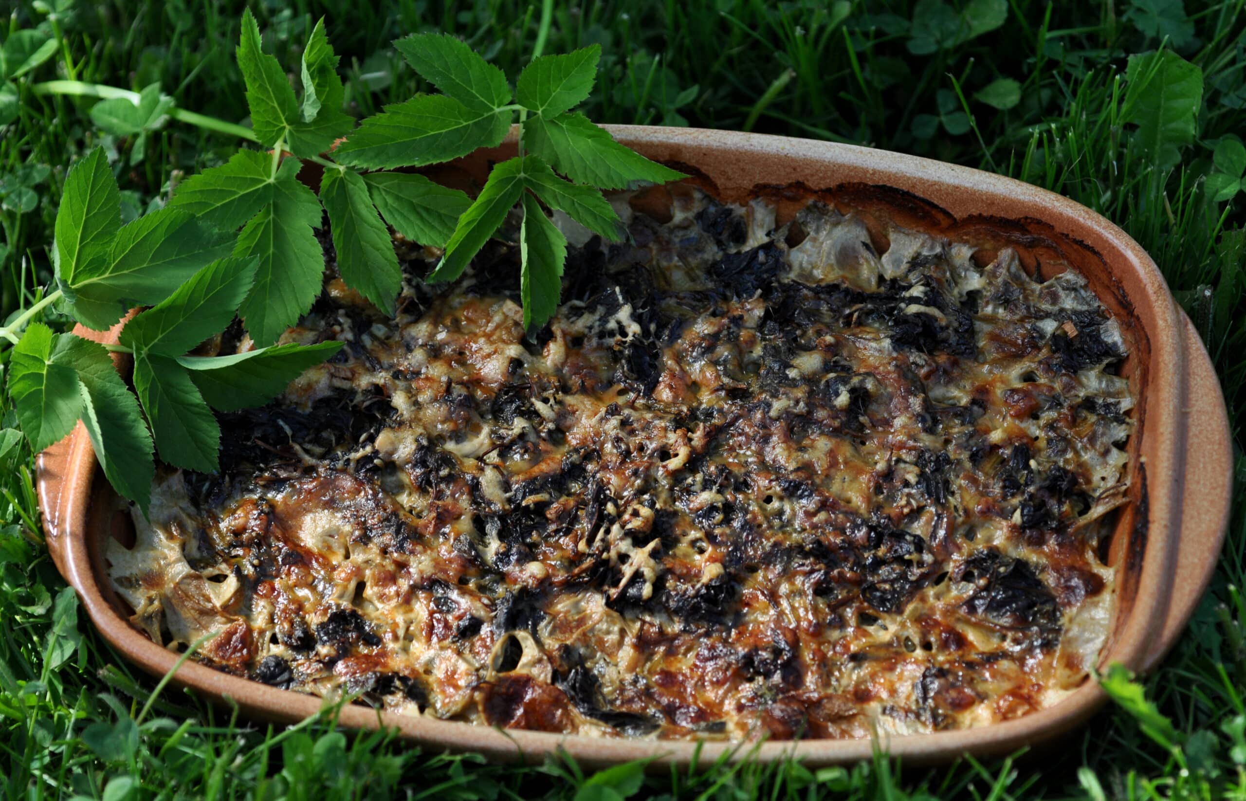 gratin_egopode_1_OK
