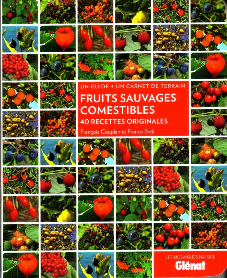 Fruits sauvages comestibles (avec France Breil)