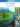 Se_soigner_plantes_regions