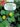 plantes_medicinales_suisse_romande