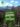 Etonnantes_plantes_de_montagnes_couv