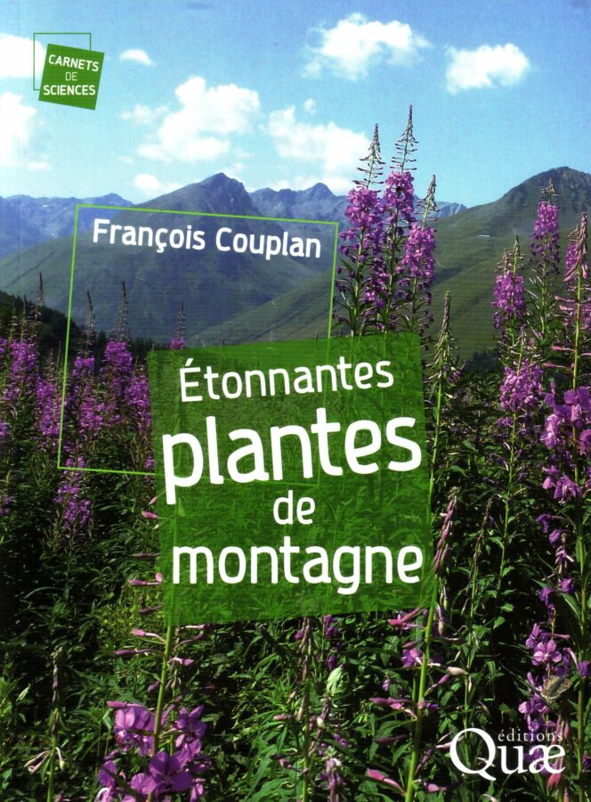 Étonnantes plantes de montagne