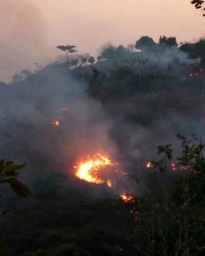 Feu de brousse 2