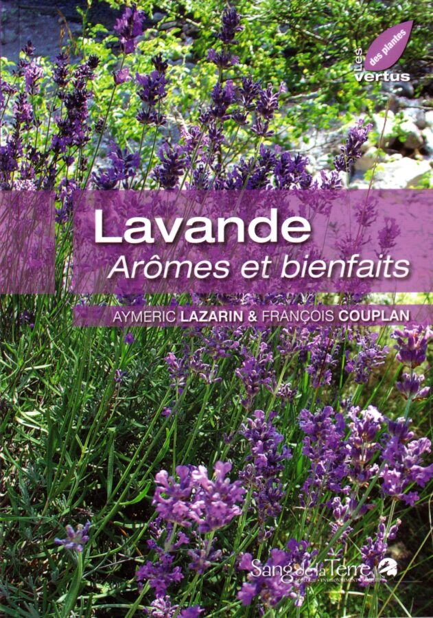 Lavande, arômes et bienfaits