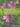 Visages_recto