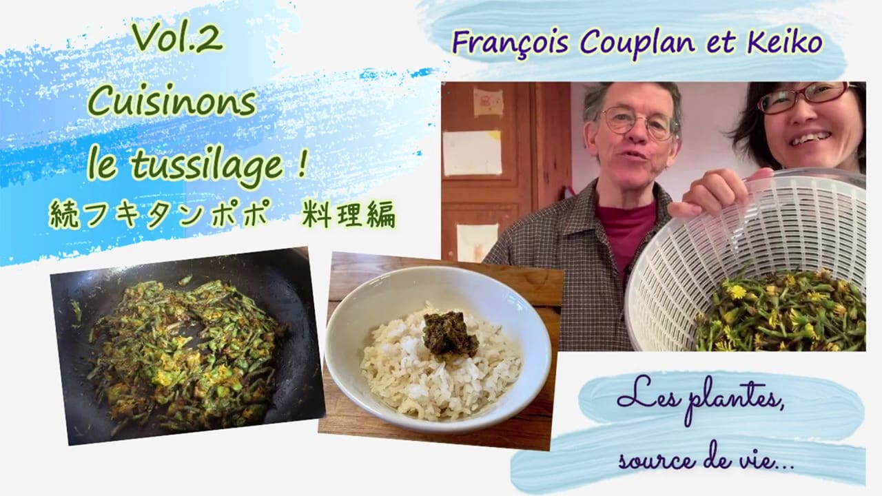 tussilage couplan