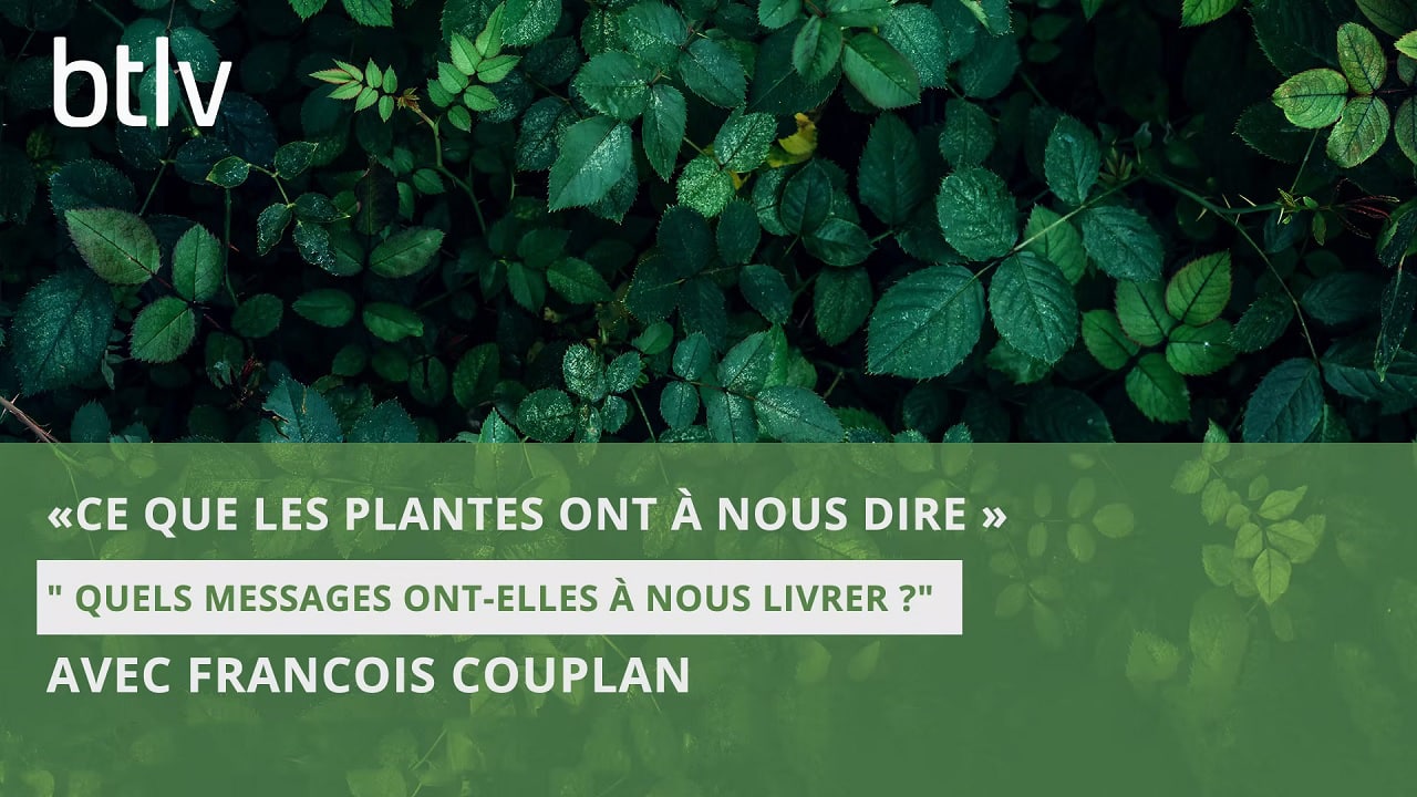 btlv couplan