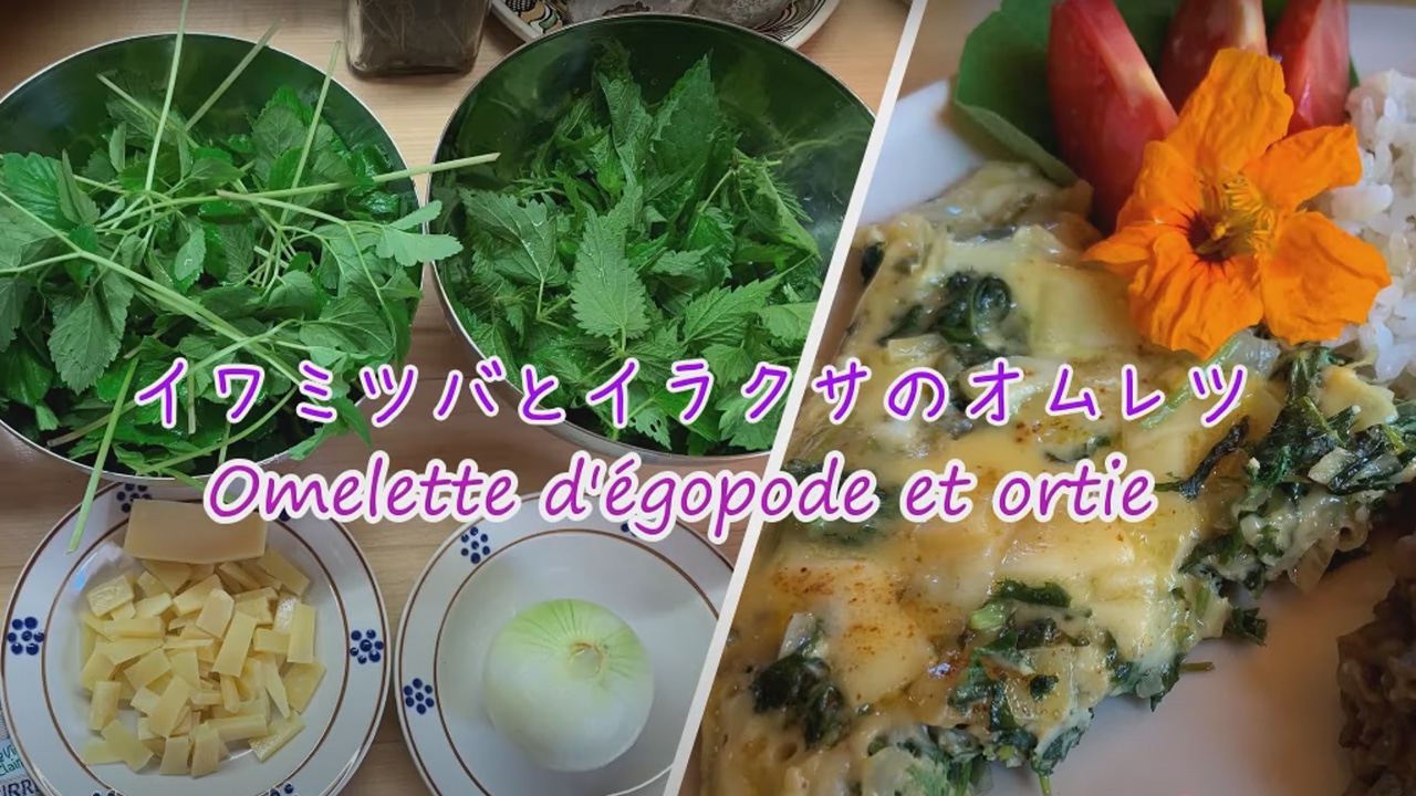 egopode