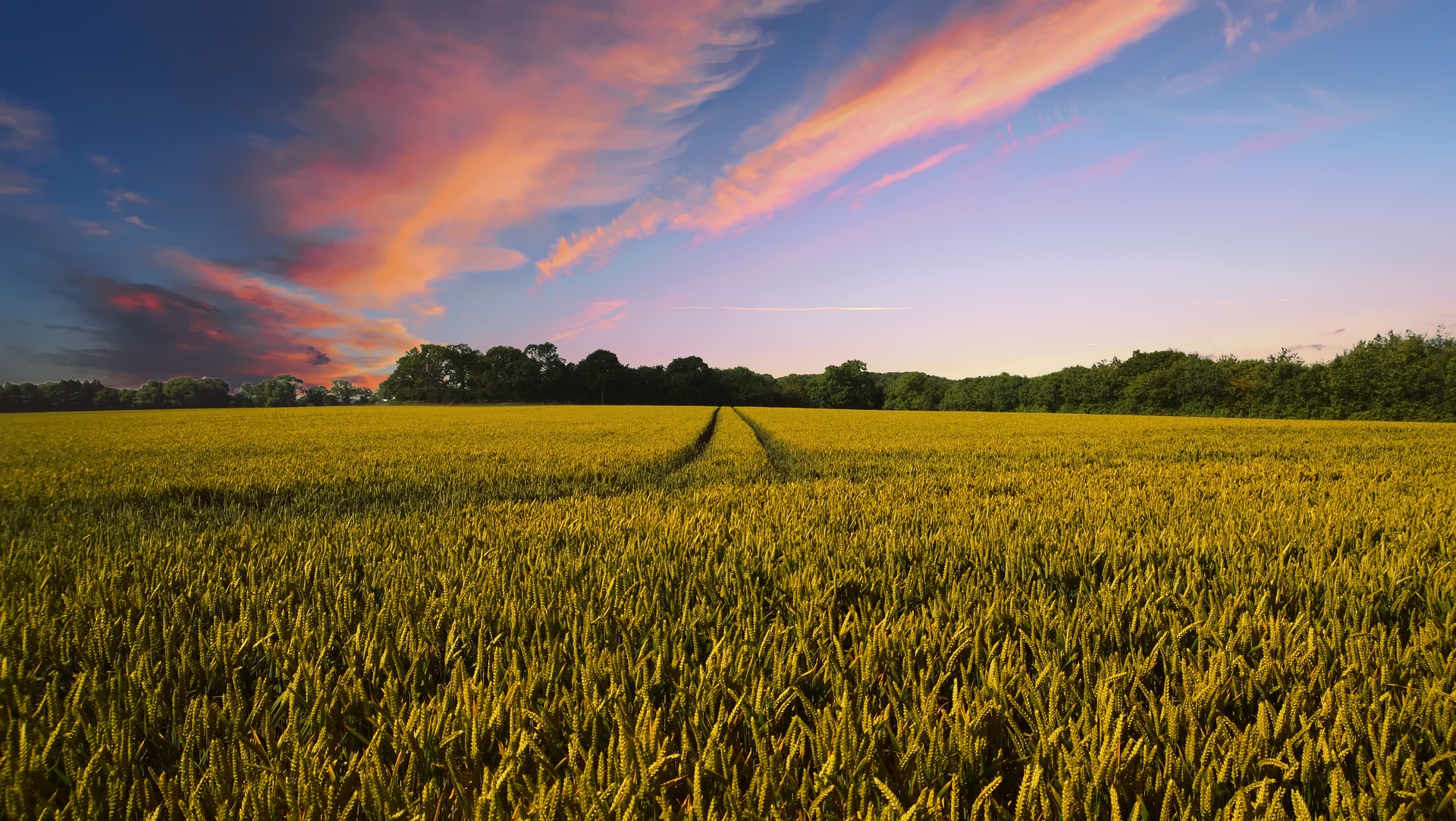 countryside-2326787_1920