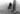11 – sous_un_pin_laricio