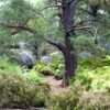 fontainebleau-726822_1920