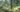 fontainebleau-726822_1920