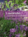 Lavande, arômes et bienfaits