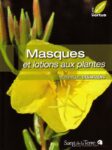Masques et lotions aux plantes