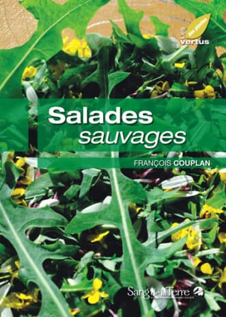 salades_sauvages