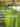 51UmkNqiLcL._SX339_BO1,204,203,200_