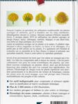 Dictionnaire étymologique de botanique – Image 2