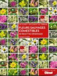 Fleurs sauvages comestibles