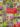 Fleurs_sauvages_comestibles_couv