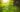 flowers-276014_1920